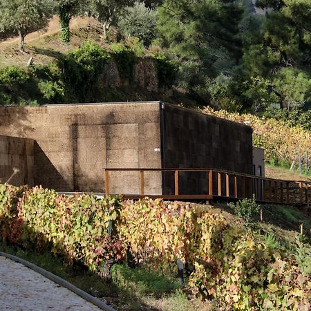 לינה וארוחת בוקר Pinhão Dois Lagares House מראה חיצוני תמונה
